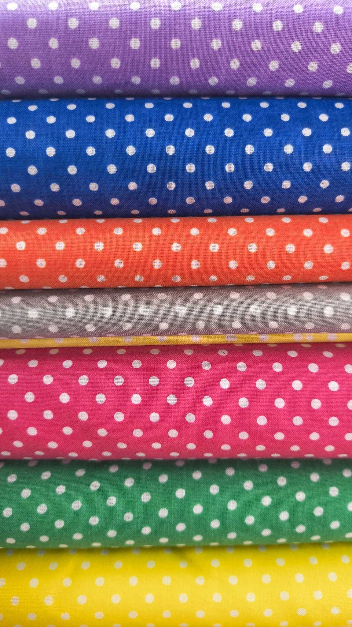 Cambraia bolinha capa