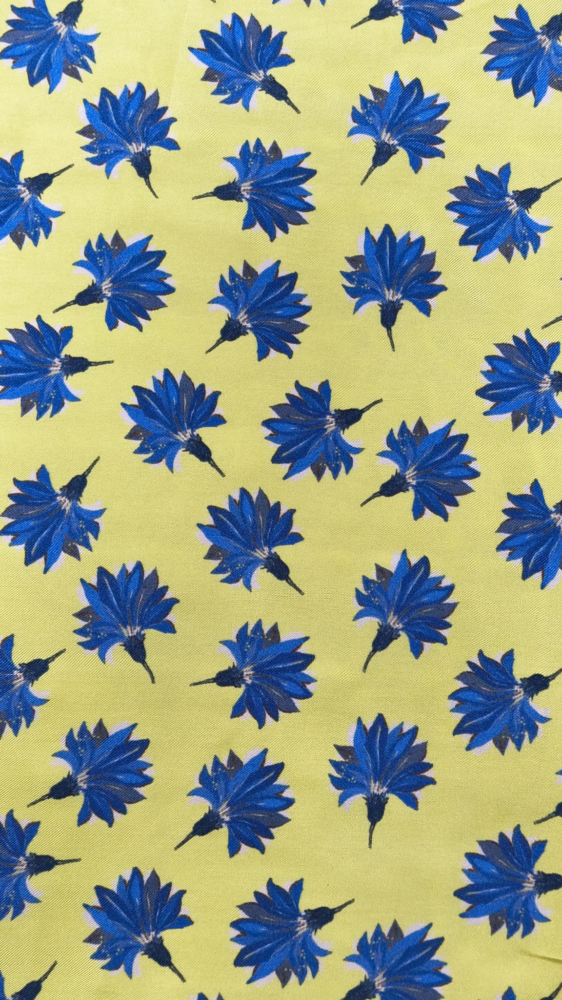 Viscose 1.