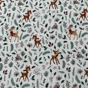 Cambraia Natal